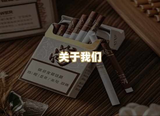 关于我们
